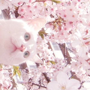 武藤绫香人妻系列91
